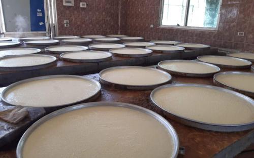 صورة 3